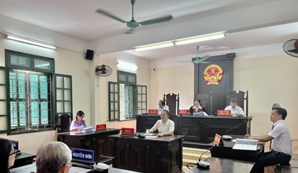 Phiên tòa rút kinh nghiệm vụ án kinh doanh thương mại “tranh chấp hợp...